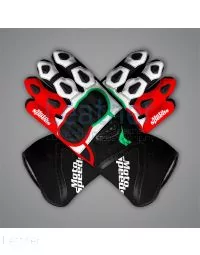 Johann Zarco Motorcycle Racing Gloves MotoGP 2024 upper view