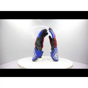Andrea Dovizioso race gloves Andrea Dovizioso  MotoGP 2016