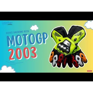 VR46 Handschuhe