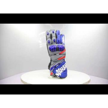 Handschuhe Ducati Andrea Dovizioso Motogp 2018