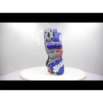 MotoGP gloves 2018 Andrea Dovizioso MotoGP 2018