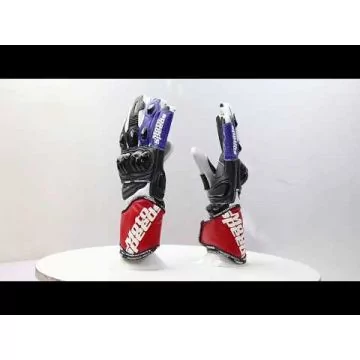Motorcycle Gloves