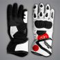 Aleix Espargaro Winter Test 2024 Gloves