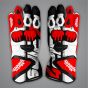 Alex Rins Gloves