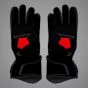 Alex Rins Gloves