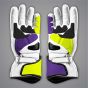 Alvaro Bautista 2025 Matching Gloves Palm View