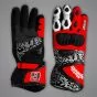 Danilo Petrucci Motorcycle Race Gloves 2026 SBK back and palm views
