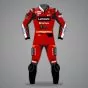 One Piece Race Leathers