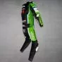 Garrett Gerloff Suit Kawasaki Ninja WSBK 2026 right side view