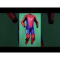 Spiderman 3 Leathers