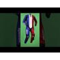 France Flag Motorbike Race Leathers