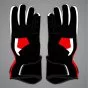Iker Lecuona gloves sbk 2026 back view