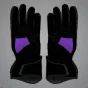 Jorge Martin gloves