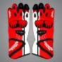 Fabio Quartararo British GP Gloves