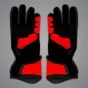 Maverick Vinales Race Gloves Red Bull KTM MotoGP 2026 Palm View