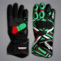 Alex Lowes gloves Kawasaki SBK 2026 top and palm view