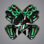 Alex Lowes gloves Kawasaki SBK 2026