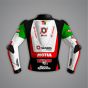 Axel Bassani Motorcycle Race Jacket Kawasaki SBK 2026 back view