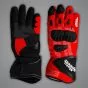 Marc Marquez Winter Test 2024 Gloves
