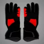 Marc Marquez Gloves Winter Test 2024 Palm View