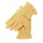 Thinsulate Lined Leather Winter Gloves