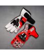 Nicky Hayden GP 2013 Motorbike Gloves