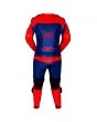 Spiderman Costume