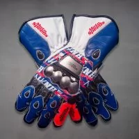 Nicky Hayden Gloves