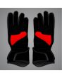 motogp gloves