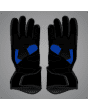 Alex Marquez MotoGP 2025 gloves lower view