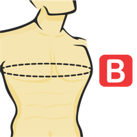 Chest Circumference