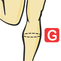 Calf Circumference