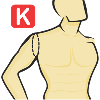 Sleeve Joint Circumference