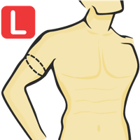 Bicep Circumference