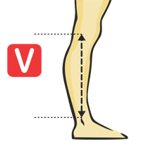 Knee To Ankle